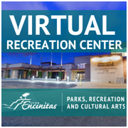 Virtual Recreation Center