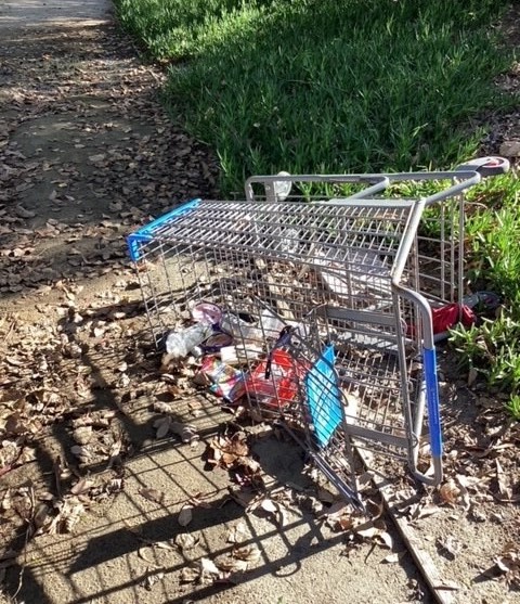 Shopping Cart