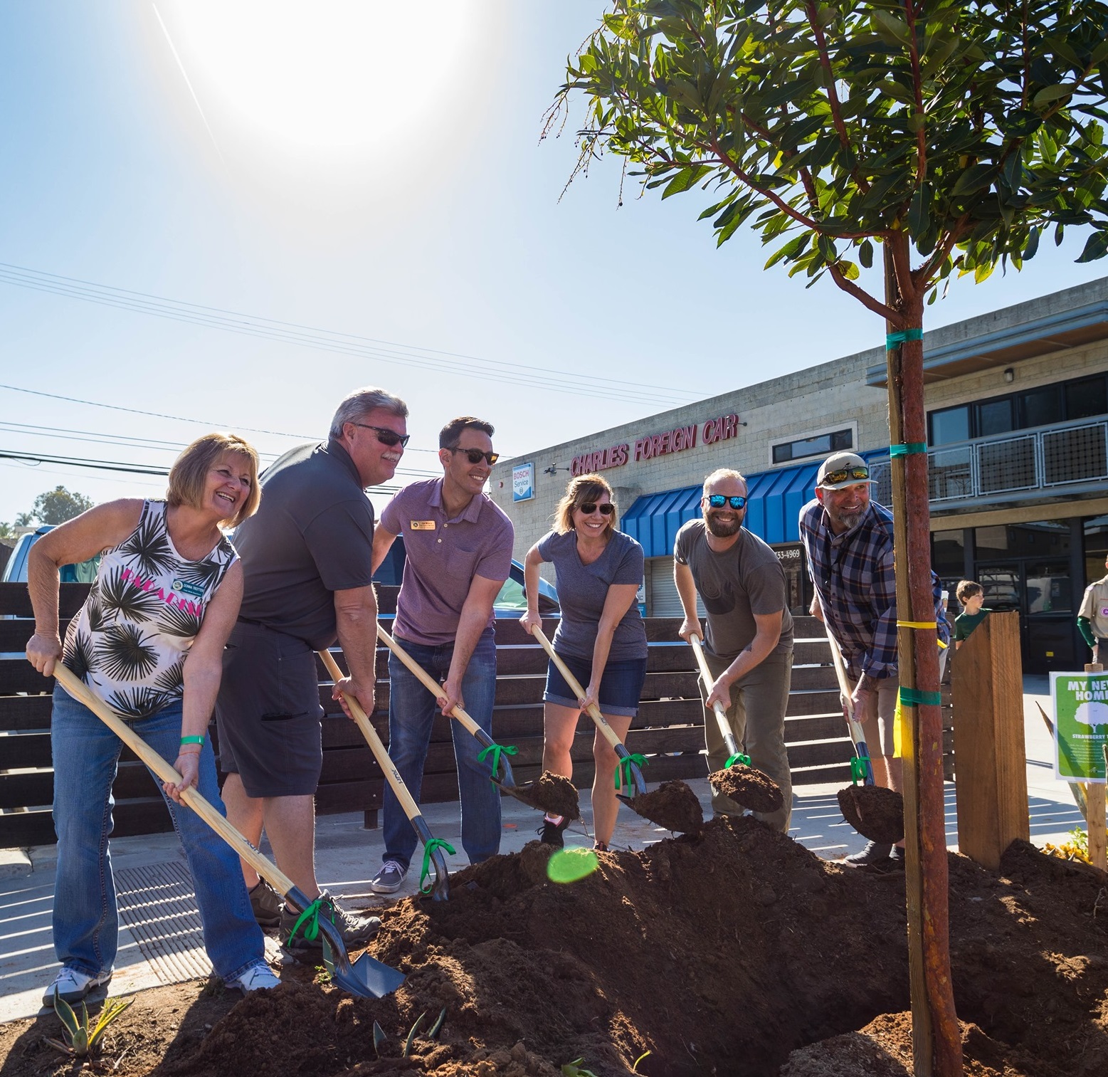 Tree Dedication