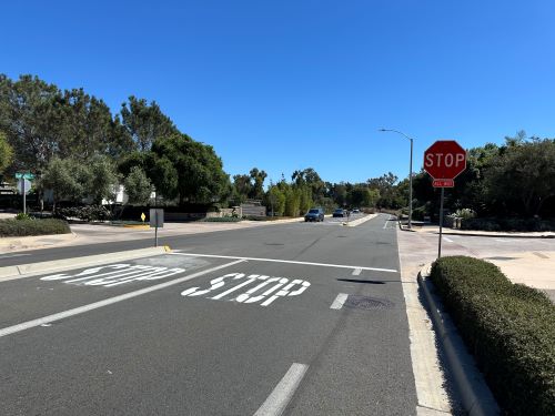 Photo of new stop sign and improvements at Quail Gardens Drive and Via Zamia.